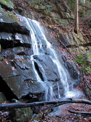Sulphur Spring Branch Falls
Upper falls as seen from the left side.
