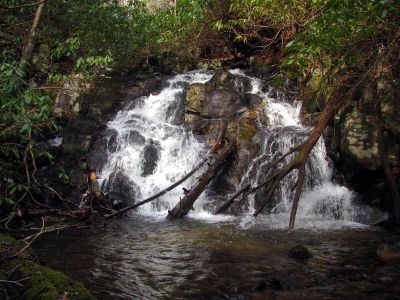 First set of falls found well above the Lower Higgins Creek Falls - taken Feb. 3, 2012
