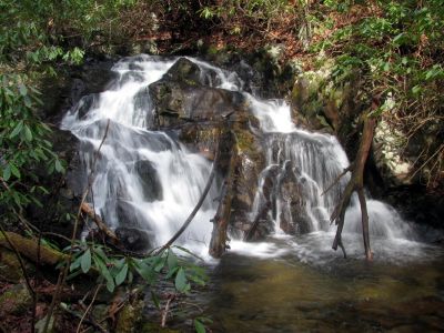 First set of falls found well above the Lower Higgins Creek Falls - taken Feb. 3, 2012
