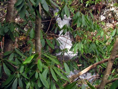 Second set of falls found even higher above the Lower Higgins Creek Falls - taken Feb. 3, 2012
