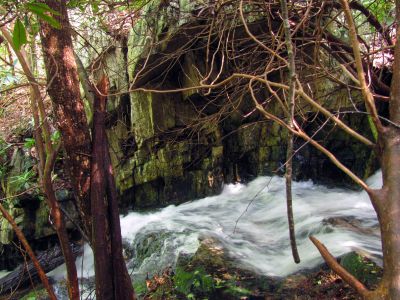 Taken April 25, 2012
