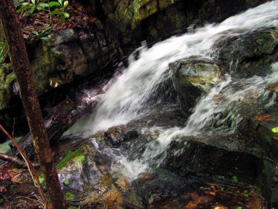 Taken April 25, 2012
