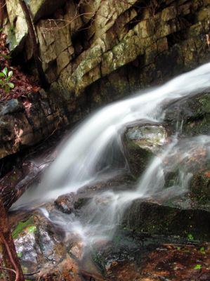 Taken April 25, 2012
