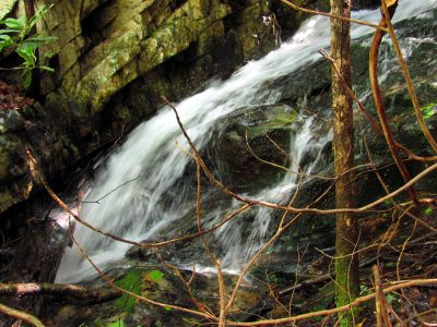 Taken April 25, 2012
