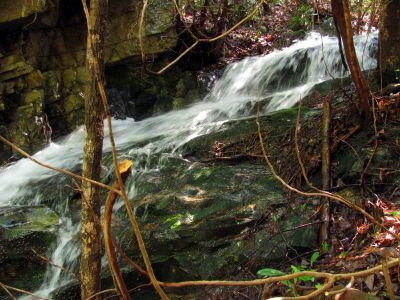 Taken April 25, 2012
