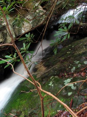 Taken April 25, 2012
