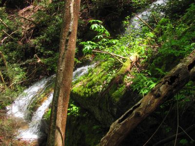 Taken April 25, 2012
