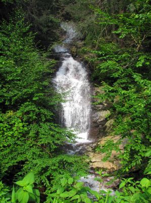 Walker Falls (North Carolina)
Taken 7-10-2011
