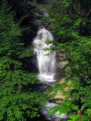 Walker Falls (North Carolina)
Taken 7-10-2011
