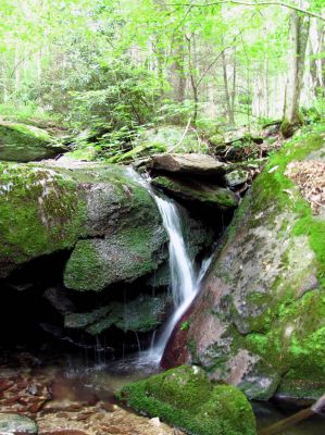 Whetstone Branch Falls (Lower)
Taken 6-25-2011
