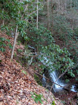 Largest falls just below the Middle Wilderness Falls Taken 2-23-2012
