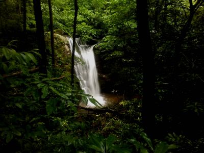 Photo by Tyler Tarpley.  Taken  6-14-2018
